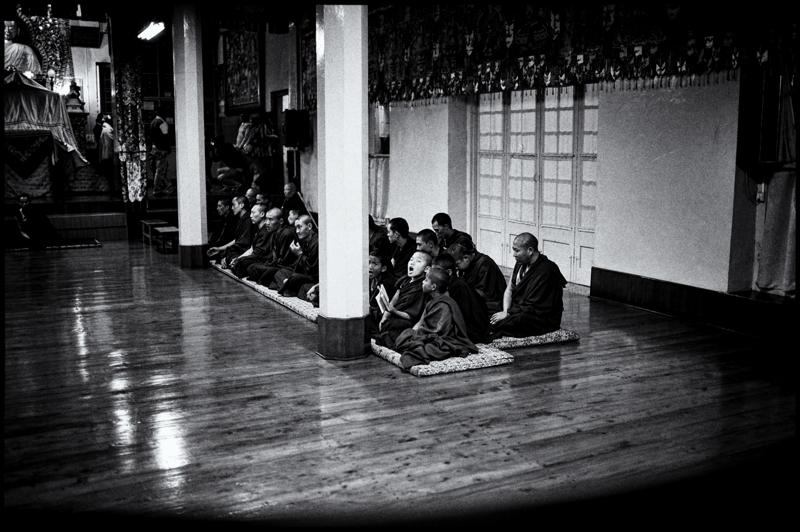 Leica Blog